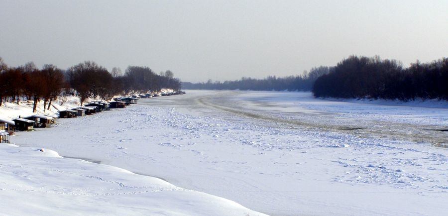 Zale�ena Sava 2012